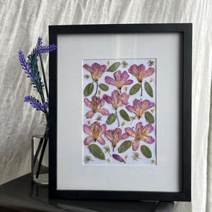 Handpressed rhododendron flower frame | Real flower wall art | wildflower frame | herbarium | mixed flowers art | botanical art frame