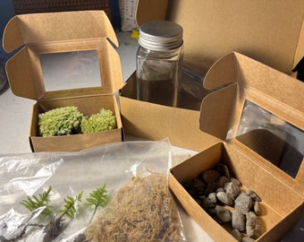DIY Live little tree moss terrarium kit | climacium Americanum moss
