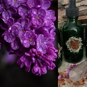 Lila bloemenessentie