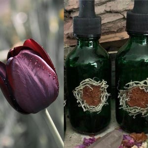 Queen of the Night Flower Essence