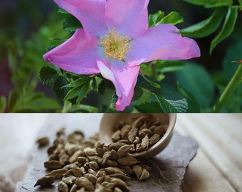 Wild Rose petal and cardamom tea