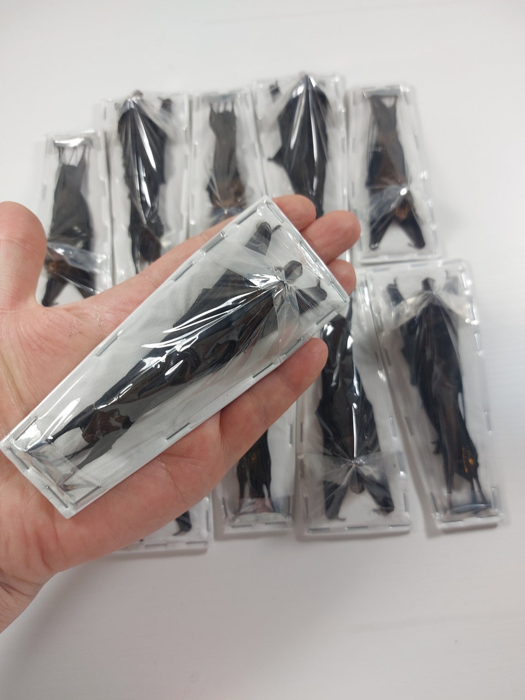 Real Hanging Bat Miniopterus Medius Unmounted Bat Specimen Bat Long