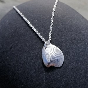 Llandanwg Silver Shell Pendant VENUS CLAM