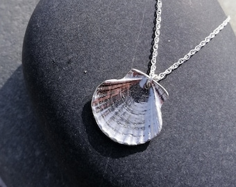 Può includere: Una collana con pendente a conchiglia d'argento. Il pendente è una replica dettagliata di una conchiglia di capasanta, con una superficie strutturata e variazioni di colore naturali. La collana è esposta su una pietra grigio scuro, con altre conchiglie sullo sfondo.