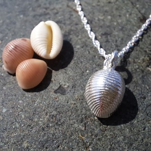 Llandanwg Silver Shell Pendant COWRIE SHELL