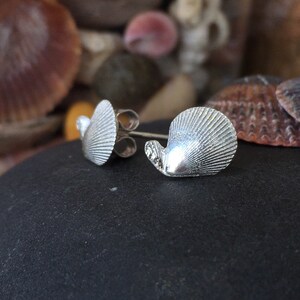 May include: A pair of silver stud earrings shaped like scallop shells. The earrings are on a dark grey surface.