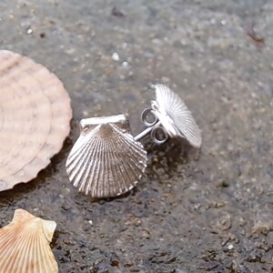 May include: A pair of silver scallop shell earrings. The earrings are small and delicate, and they have a simple, elegant design.
