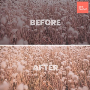 May include: Before and after image showing the effect of a photo filter on a field of white fluffy plants. The image on the top is labeled "BEFORE" and the image on the bottom is labeled "AFTER".