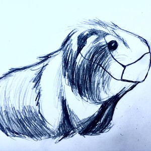 COVID-19 Guinea Pigs Artwork Stampa Cartoline I Set di 3 Guinea Pigs Cartoline d'arte