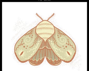 Moth PNG | Moth Design | Moth Clipart | Digital PNG Download