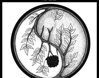 Yin Yang Ash PNG | Yin Yang Design | Tree Clipart | Digital PNG Download