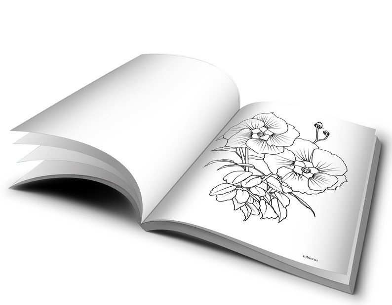 Printable Medicinal Herbs Coloring Book / Instant Download Etsy