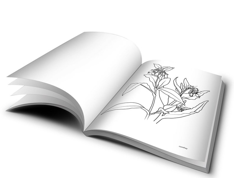 Printable Medicinal Herbs Coloring Book / Instant Download Etsy