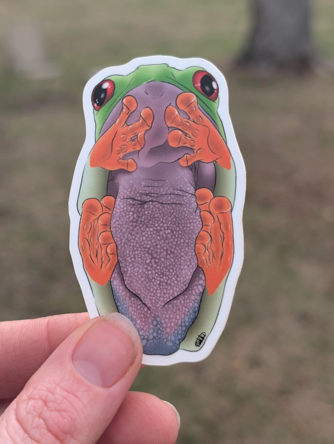 Red Eyed Tree Frog Vinyl Matte Sticker - Etsy