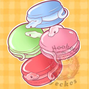 May include: Illustration of four colorful macarons with snake designs. The macarons are blue, green, pink, and red, each featuring a snake head and body. The background is a yellow plaid pattern.
