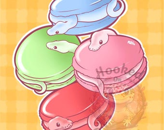 Macarons ball python art print