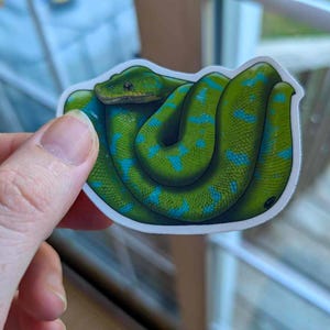 May include: A sticker featuring a coiled green snake with blue spots. The snake has a yellow head and is set against a white background. The sticker is held by a hand.