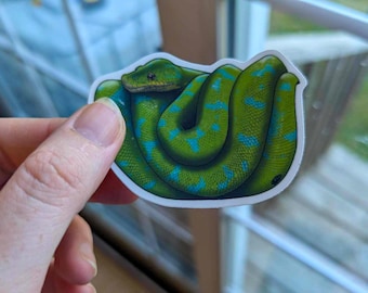 Green tree python Clear Sticker