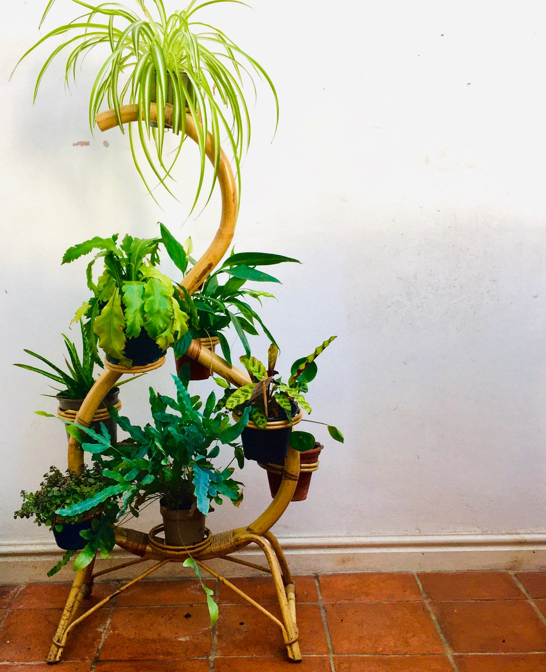 Bamboo Plant Stand/ Indoor Plant Stand Etsy
