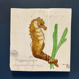handpainted, signed Seahorse painting on board /wall art /art/ gift