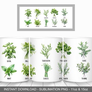 May include: A set of three white mugs with watercolor illustrations of different herbs, including basil, dill, tarragon, parsley, sage, mint, oregano, chives, rosemary, and thyme. Each mug has a different set of herbs and the name of the herb is printed below each illustration. The text "INSTANT DOWNLOAD - SUBLIMATION PNG - 11oz & 15oz" is printed at the bottom of the image.