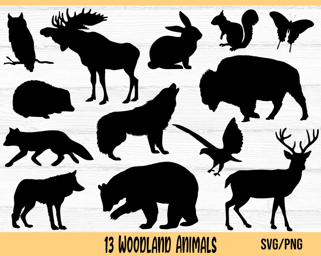 Forest Animals SVG, Woodland Animals SVG, PNG, Animal Silhouette Svg