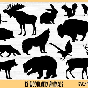 Bosdieren SVG, bosdieren SVG, png, dier silhouet svg, wolf svg, beer svg, eland svg