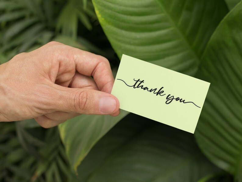 May include: A hand holding a light green card with the words "thank you" written in black cursive.
