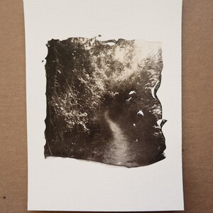 through the woods; color polaroid emulsion lift to 5x7 paper