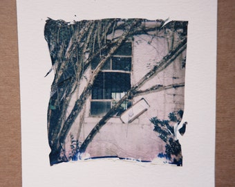 they broke in through the window; color polaroid emulsion lift to 5x7 paper