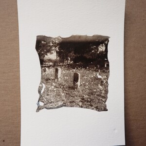 resting among the wildflowers; color polaroid emulsion lift; 5x7 photo