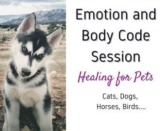 Emotion and Body Code Pet Session