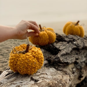 Coastal Gold Mini Pumpkins, Set of 3, Beach Pumpkin, 2 x 4 inches, Crochet Pumpkin, Rustic Pumpkin, Knitted Pumpkin, Coastal Autumn