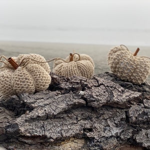 Mini Beige Pumpkins, Set of 3, Beach Pumpkin, 2x4 inches, Crochet Pumpkin, Burlap Pumpkin, Knitted Pumpkin, Coastal Autumn