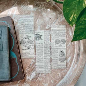 Dictionary Bookmarks