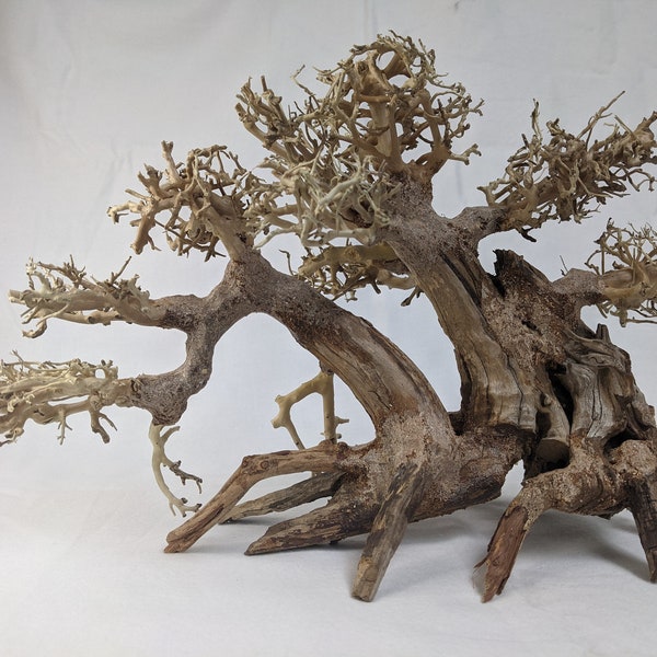 Aquarium Bonsai Driftwood Tree  Natural