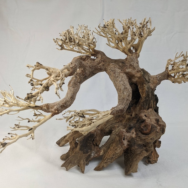 Bonsai Driftwood Aquarium Tree  Natural