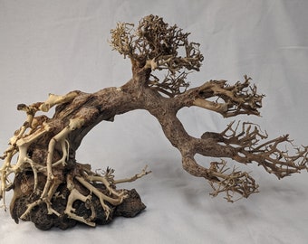 Tfwadmx 5PCS Aquarium Driftwood Branches 4''-7.8'' Reptiles Trunk Natural Wood Fish Tank Decoration Plant Stump Ornament Decor Assorted For Sale | Las Vegas, NV | Nellis Auction