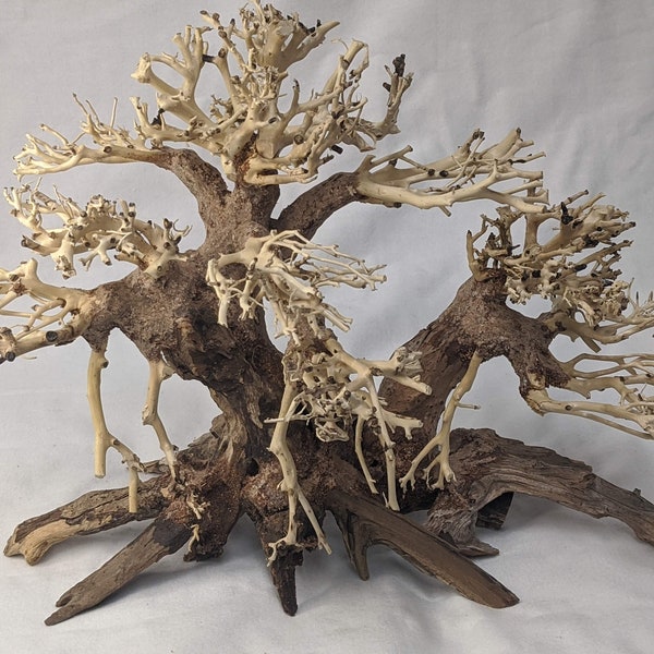 Bonsai Driftwood Aquarium Tree Natural