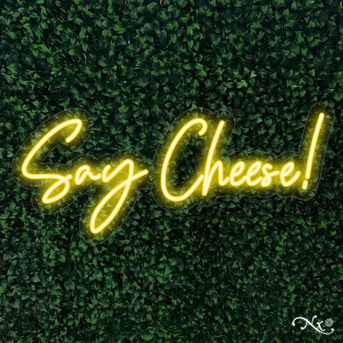 Say Cheese 32x14x1in. Neon Sign Home Handmade Wall Decor Cute | Etsy