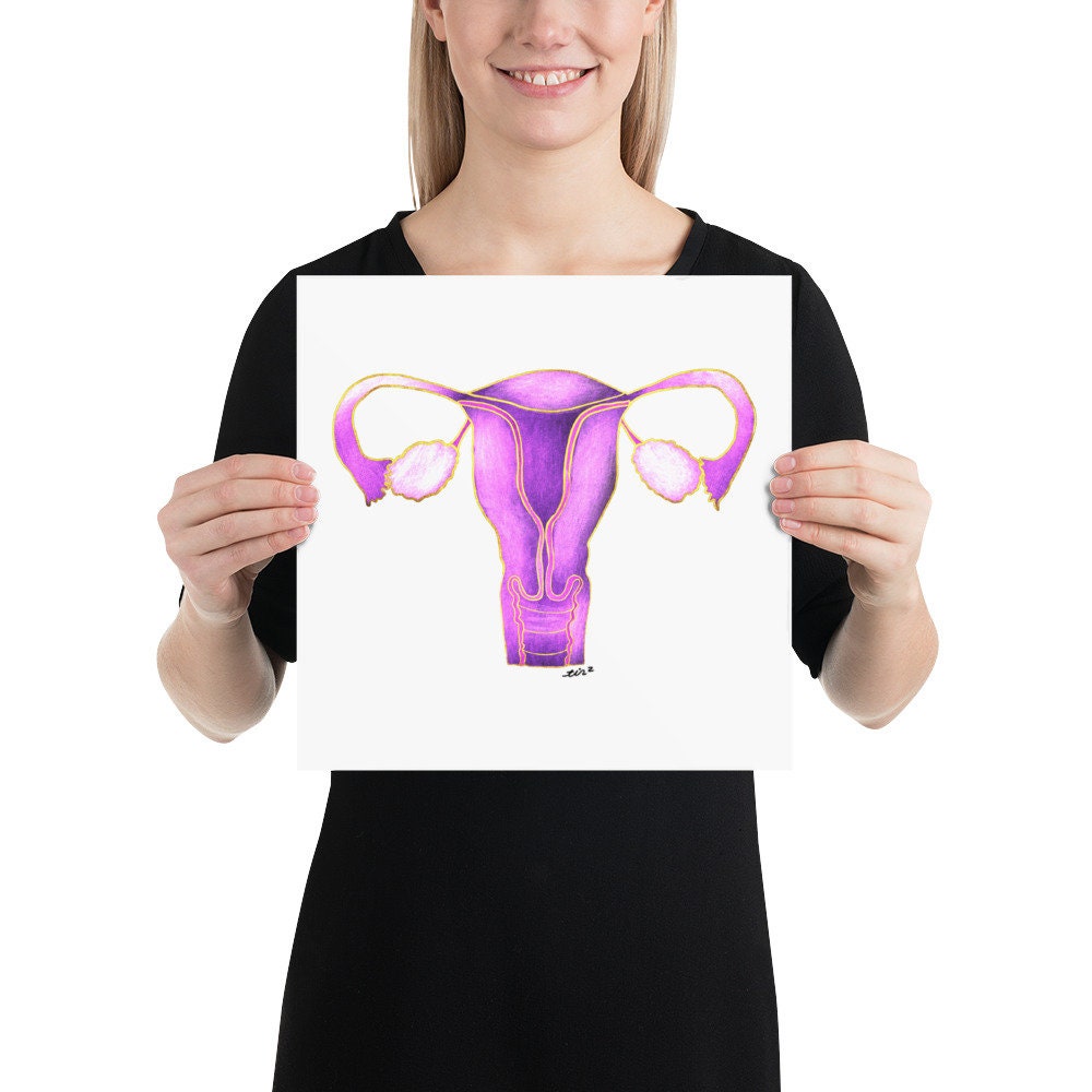 Uterus Anatomy OB-GYN Poster - Etsy