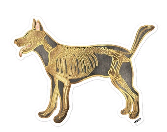 Dog Skeleton Anatomy Stickers