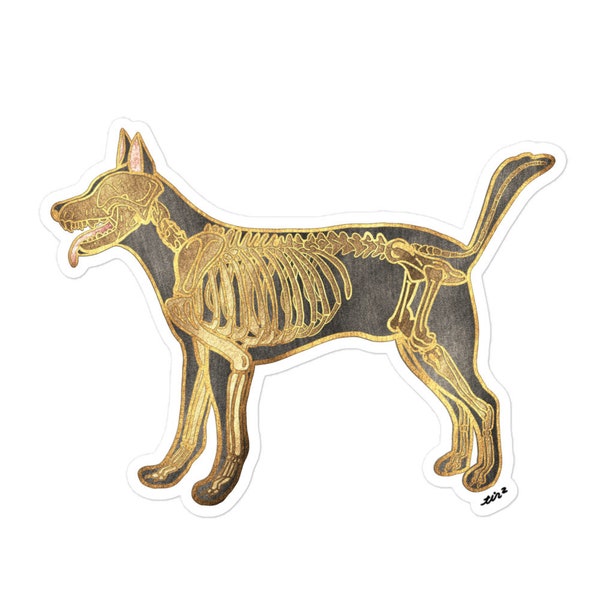 Dog Skeleton Anatomy Stickers
