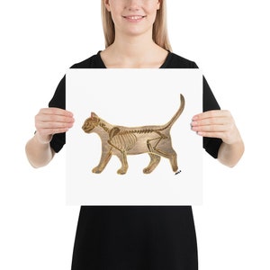 Cat Skeleton Anatomy Poster