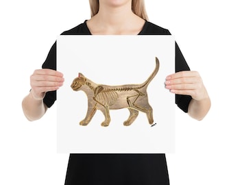 猫の解剖学ポスター：猫の骨格図、獣医アート - Etsy 日本