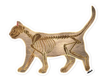 Cat Skeleton Sticker