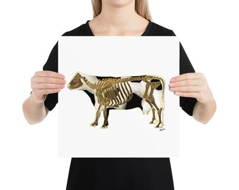 Cow Skeleton Anatomy Poster