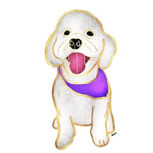 Havanese White Dog Sticker