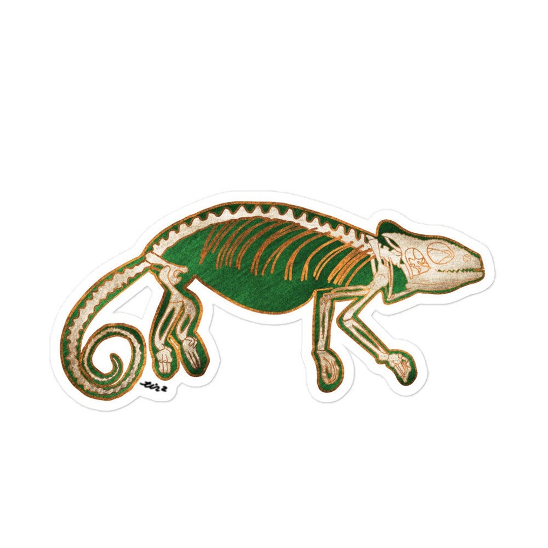 Chameleon Skeleton Sticker – Reptile Anatomy Art, Lizard Lover Gift ...