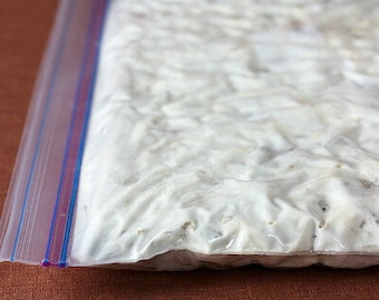 ラギテンペスターターカルチャー：インドネシア風ビーガン（1×20グラム）